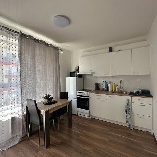 Pronájem bytu 1+kk a garsoniéry 28 m² Milovice, Armádní