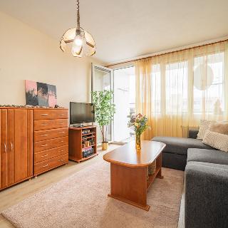 Prodej bytu 2+1 67 m² Plzeň, Elišky Krásnohorské