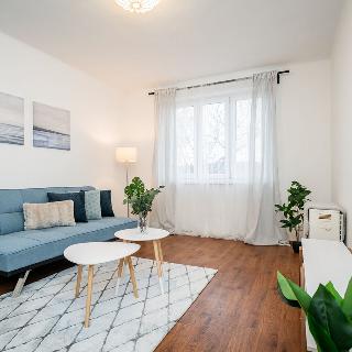 Prodej bytu 1+kk a garsoniéry 31 m² Hostomice, Dobříšská