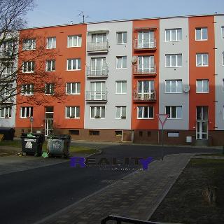 Pronájem bytu 3+1 84 m² Podbořany, Alšova