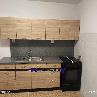 Pronájem bytu 3+1 74 m² Podbořany, Příčná