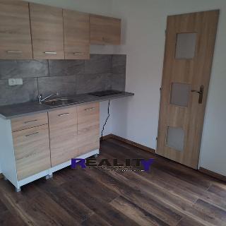 Pronájem bytu 1+kk a garsoniéry 44 m² Žatec, Volyňských Čechů