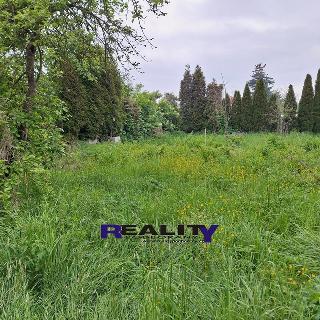 Prodej zahrady 1 065 m² Podbořany, 