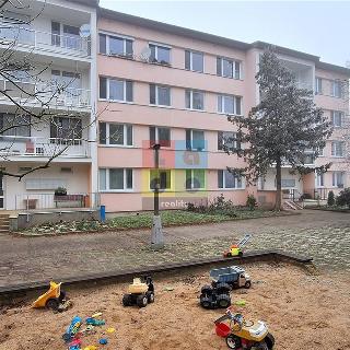 Pronájem bytu 3+kk 68 m² Lysá nad Labem, Okružní