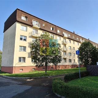 Pronájem bytu 2+1 43 m² Milovice, Mírová