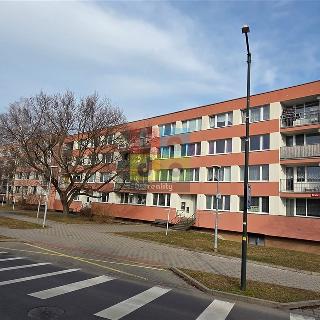 Prodej bytu 2+1 45 m² Nymburk, Ivana Olbrachta