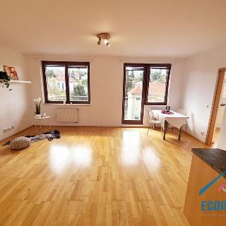 Pronájem bytu 2+kk 65 m² Praha, Dvorecká