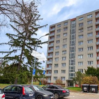 Prodej bytu 3+1 58 m² Mladá Boleslav, třída T. G. Masaryka