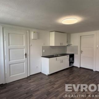 Pronájem bytu 1+1 40 m² Praha