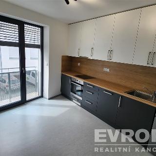 Pronájem bytu 2+1 55 m² Havlíčkův Brod, Jihlavská