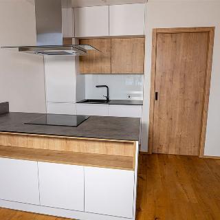 Prodej bytu 3+kk 110 m² Liberec, Na Ladech