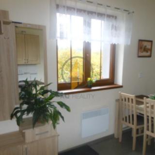 Pronájem bytu 1+1 31 m² Karlovice, 