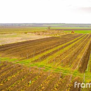 Prodej stavební parcely 2723 m&sup2; Moravský Žižkov