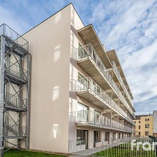 Pronájem bytu 1+kk a garsoniéry 33 m² Brno, Spolková