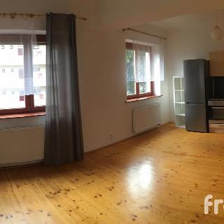 Pronájem bytu 1+kk a garsoniéry 37 m² Brno, Spodní