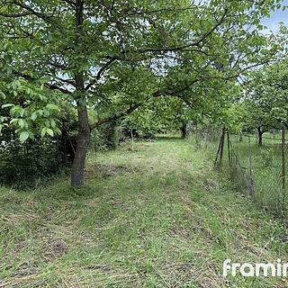 Prodej zahrady 411 m² Brno