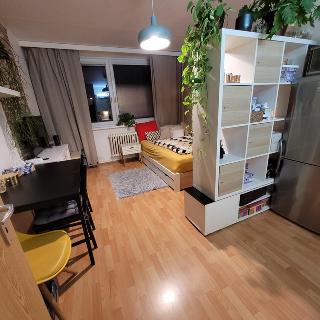 Pronájem bytu 1+kk a garsoniéry 28 m² Brno, Horácké náměstí