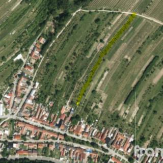 Prodej zemědělské půdy 2 450 m² Blatnice pod Svatým Antonínkem