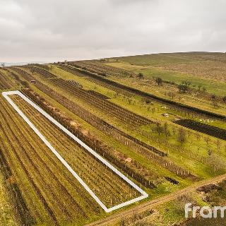 Prodej zemědělské půdy 3 587 m² Blatnice pod Svatým Antonínkem, 