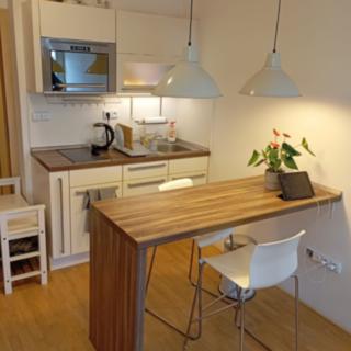 Pronájem bytu 1+kk, garsoniery 25 m² Brno