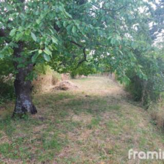 Prodej zahrady 907 m² Brno