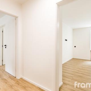 Prodej bytu 2+1 55 m² Brno Žabovřesky, Zborovská