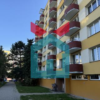 Prodej bytu 1+1 48 m² České Budějovice, K. Šafáře