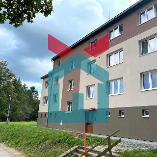 Prodej bytu 3+1 76 m² Nová Pec, 