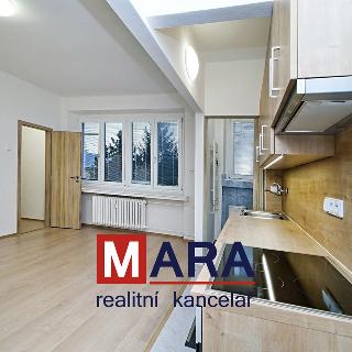 Pronájem bytu 1+kk a garsoniéry 26 m² Přerov, Slaměníkova