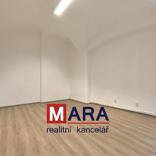 Pronájem obchodu 18 m² Olomouc, Pavelčákova