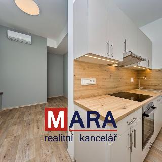 Prodej bytu 3+kk 65 m² Olomouc, Přichystalova