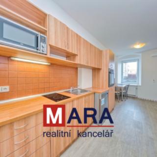 Pronájem bytu 1+1 50 m² Olomouc, Dolní hejčínská