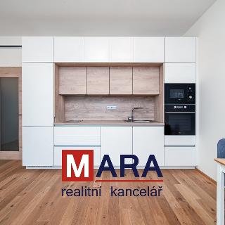 Pronájem bytu 1+kk a garsoniéry 32 m² Olomouc, Ostrovní