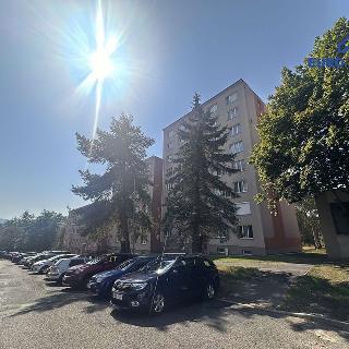 Pronájem bytu 2+1 57 m² Karlovy Vary, Plešivecká