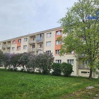 Pronájem bytu 3+1 67 m² Beroun, Švermova