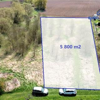 Prodej stavební parcely 5 800 m² Planá