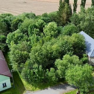 Prodej stavební parcely 1 458 m² Bor