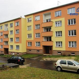 Prodej bytu 1+1 38 m² Plesná, Světlá