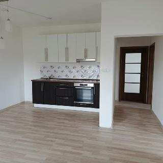 Pronájem bytu 3+kk 66 m² Chýnov, Slunečný vrch