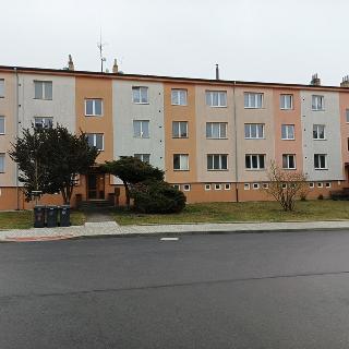 Pronájem bytu 2+1 53 m² Soběslav, Na Ohradě