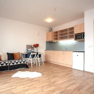 Prodej bytu 1+kk a garsoniéry 30 m² Praha, Libocká