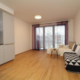 Pronájem bytu 3+kk 66 m² Praha, Pod dvorem