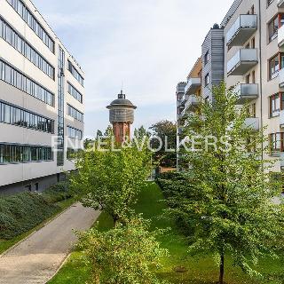 Pronájem kanceláře 450 m² Praha, Budějovická