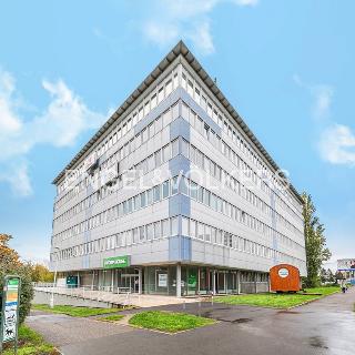 Pronájem obchodu 287 m² Praha, V olšinách