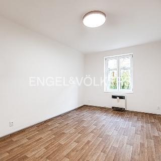 Pronájem bytu 1+kk a garsoniéry 25 m² Praha, V domově