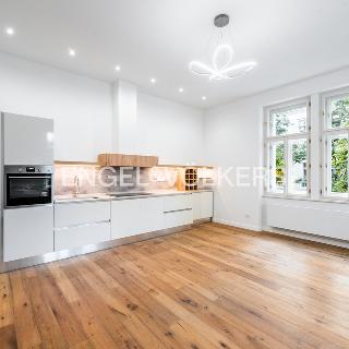 Pronájem bytu 3+kk 108 m² Praha, Třebízského