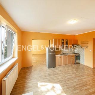 Pronájem bytu 1+1 54 m² Plzeň, Motýlí