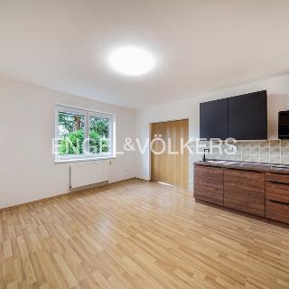 Pronájem bytu 1+1 50 m² Plzeň, Motýlí