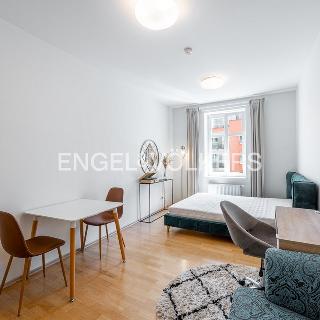 Pronájem bytu 1+kk a garsoniéry 29 m² Praha, Plzeňská