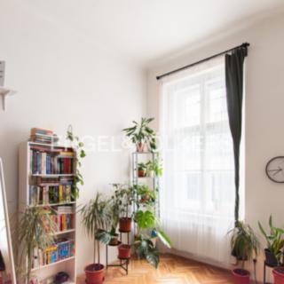 Pronájem bytu 1+1 42 m² Praha